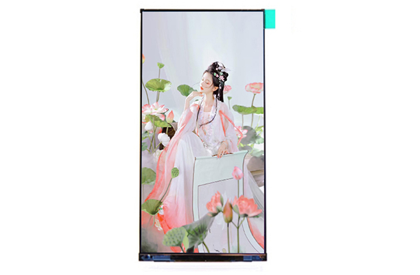電阻觸摸顯示屏的工作原理、優(yōu)勢(shì)特點(diǎn)、應(yīng)用領(lǐng)域和未來發(fā)展趨勢(shì)